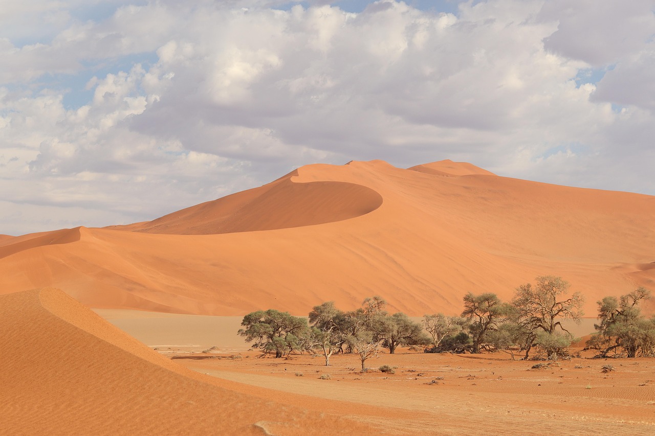 Oshakati